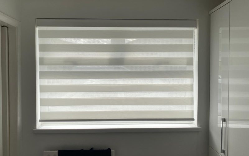 Day and night blinds